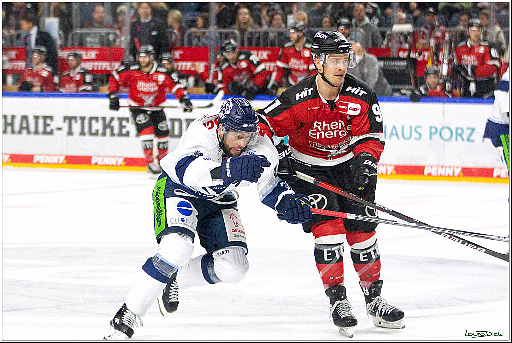 PENNY DEL;  Koelner Haie - Straubing Tigers; Koeln, 15.10.2021